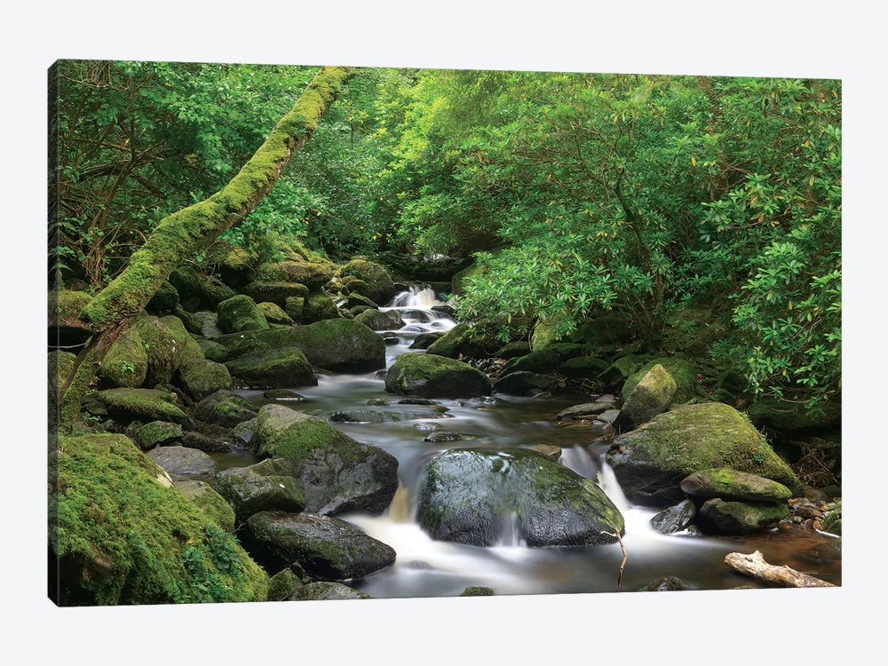 Killarney National Park, County Kerry, Ireland. Torc Waterfall. by Tom Norring 1-piece Canvas Artwork
