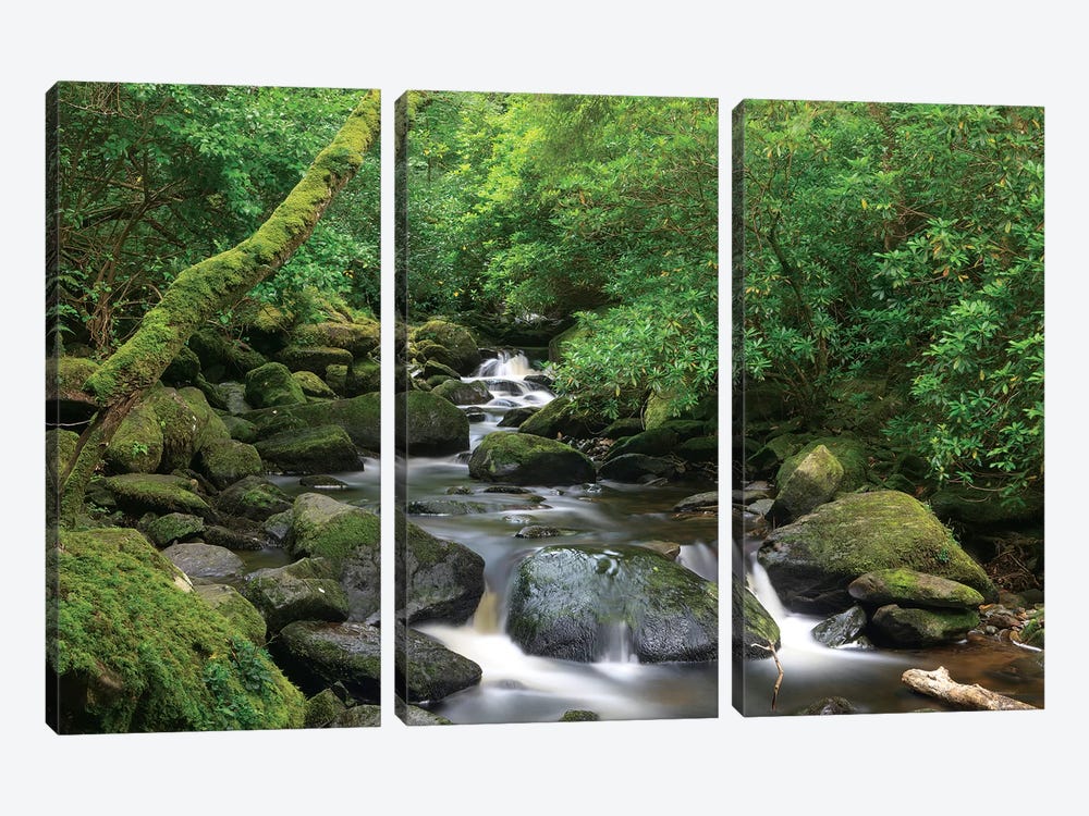 Killarney National Park, County Kerry, Ireland. Torc Waterfall. by Tom Norring 3-piece Canvas Art