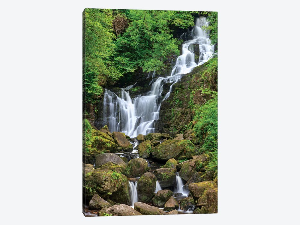 Killarney National Park, County Kerry, Ireland. Torc Waterfall. by Tom Norring 1-piece Canvas Art