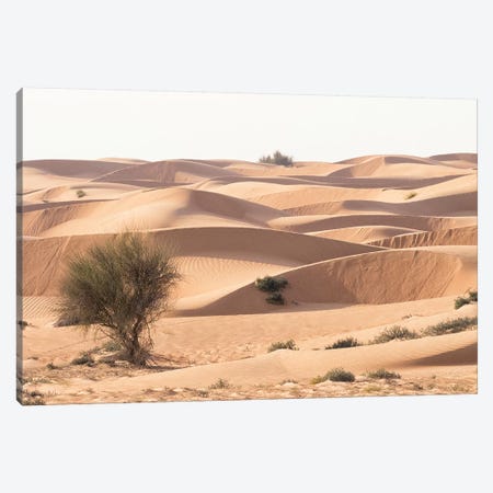 Desert with sand. Abu Dhabi, United Arab Emirates. Canvas Print #TNO38} by Tom Norring Canvas Wall Art