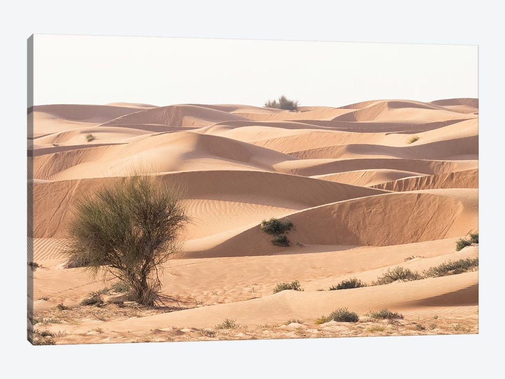 Desert with sand. Abu Dhabi, United Arab Emirates. by Tom Norring 1-piece Canvas Artwork
