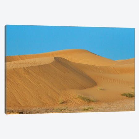 Desert with sand. Abu Dhabi, United Arab Emirates. Canvas Print #TNO39} by Tom Norring Canvas Wall Art