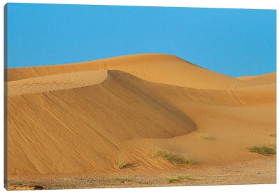 Desert with sand. Abu Dhabi, United Arab Emirates. Canvas Art Print - United Arab Emirates Art