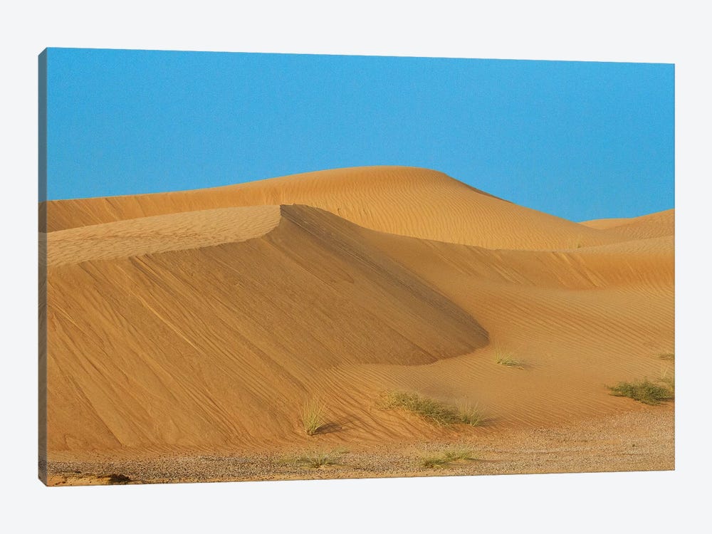 Desert with sand. Abu Dhabi, United Arab Emirates. by Tom Norring 1-piece Canvas Print