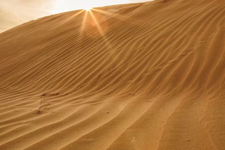 Sunset with Sunburst. Desert with sand. Abu Dhabi, United Arab Emirates. by Tom Norring wall art