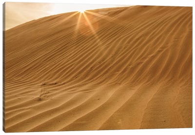Sunset with Sunburst. Desert with sand. Abu Dhabi, United Arab Emirates. Canvas Art Print - Abu Dhabi