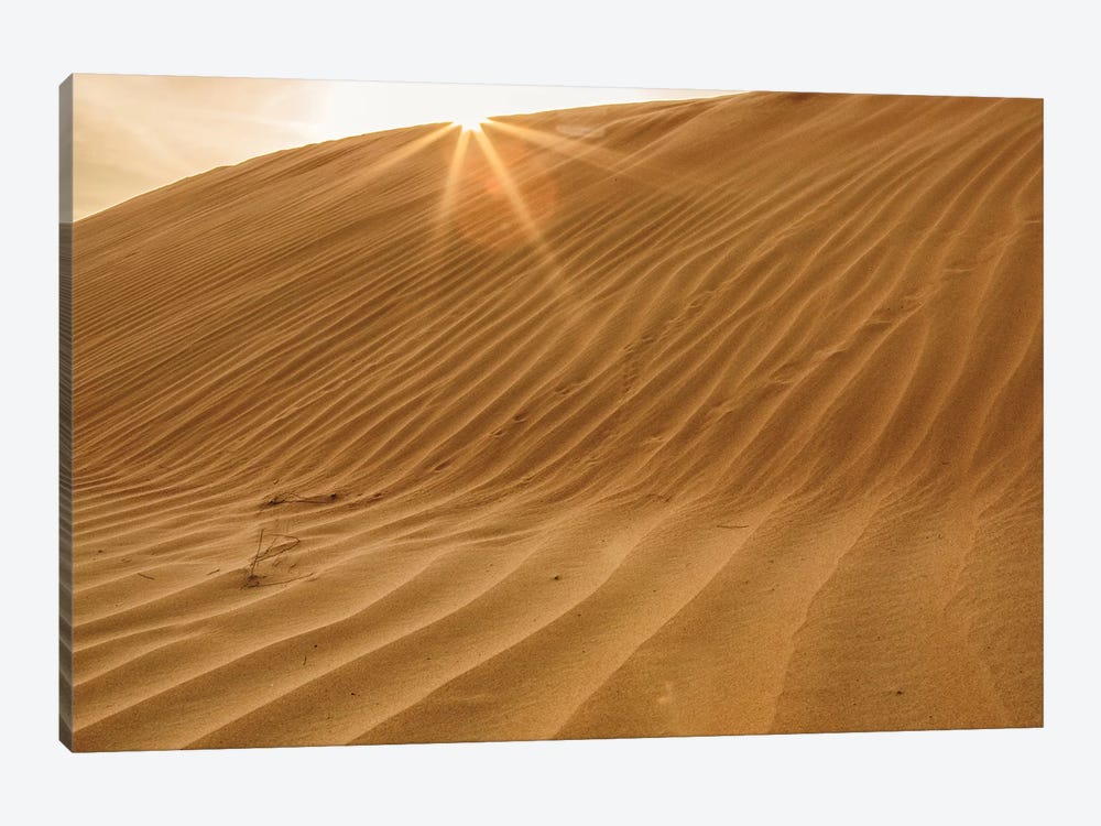 Sunset with Sunburst. Desert with sand. Abu Dhabi, United Arab Emirates. by Tom Norring 1-piece Canvas Print