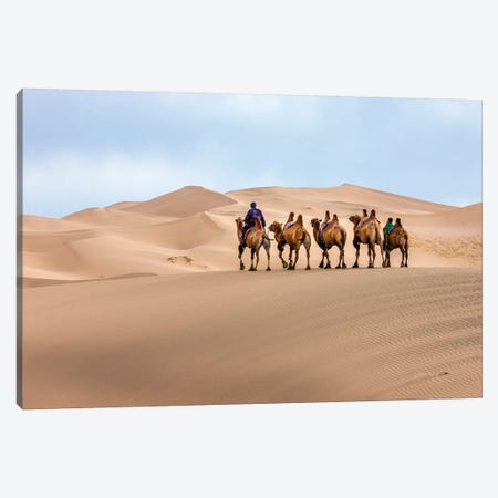 Camel Caravan in the Dunes. Gobi Desert. Mongolia. Canvas Print #TNO7} by Tom Norring Canvas Print