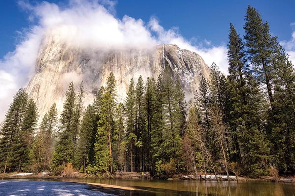 Yosemite National Park: El Capitan seen from Cathedral Beach and Merced River. Yosemite National Park, California. by Tom Norring