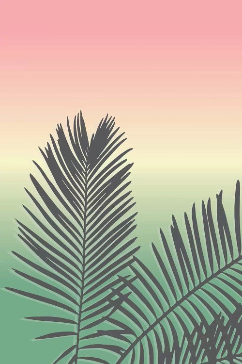 Sunset Palm Leaves