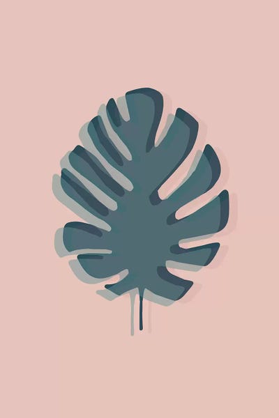 The Solitary Monstera