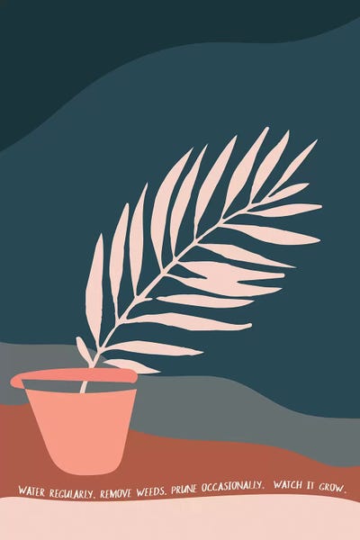 Minimalist Bohemian Decor: Water Regularly by The Native State