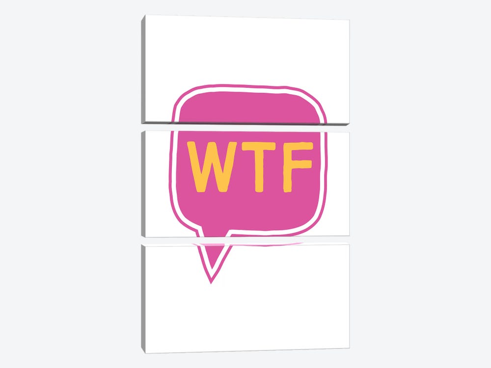 WTF  by The Native State 3-piece Canvas Artwork