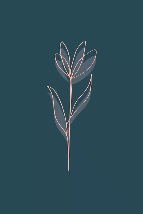 Bloom