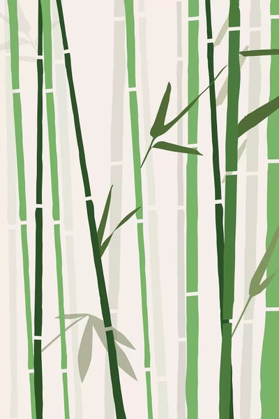 Bamboo