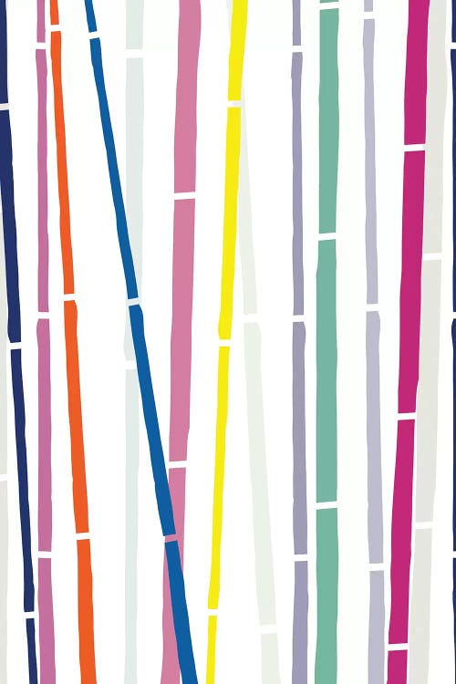 Bamboo Rainbow by The Native State canvas print