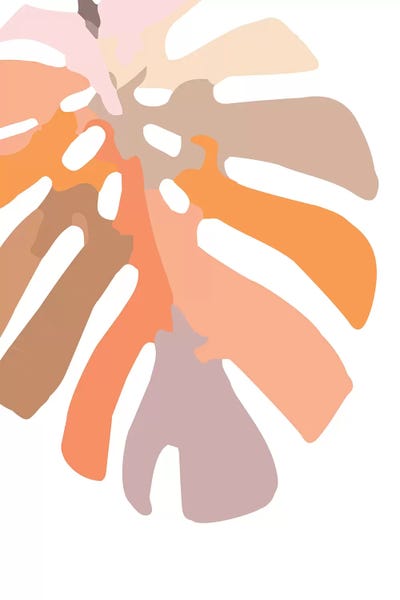 Monsteras: Monstera II by The Native State