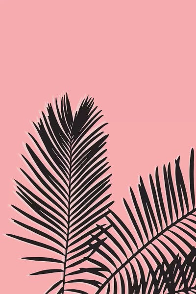 Black & Pink: Pink Palm Leaves by The Native State
