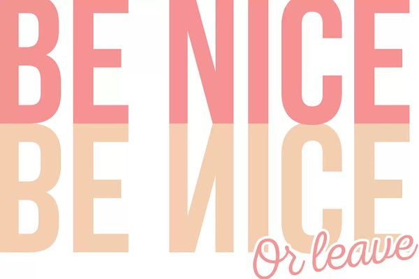 Be Nice Or Leave