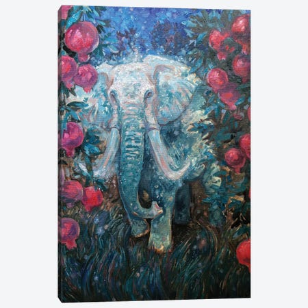 Elephant. Pomegranate Garden Canvas Print #TNV125} by Tatiana Nikolaeva Canvas Wall Art