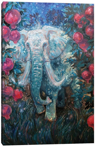 Elephant. Pomegranate Garden Canvas Art Print - Illuminated Dreamscapes