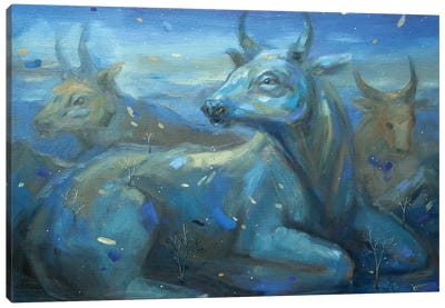 Blue Evening In The Foothills Canvas Art Print - Bull Art