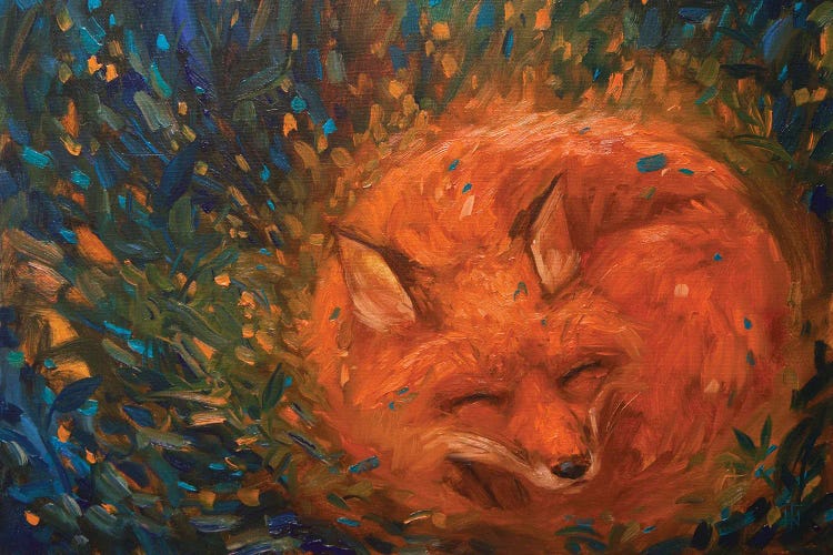 The Dream Of The Magic Fox