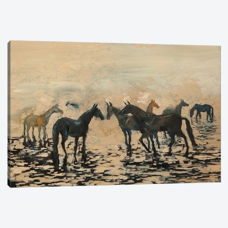 Herd Of Horses On The Seashore Canvas Print #TNV59} by Tatiana Nikolaeva Canvas Art Print