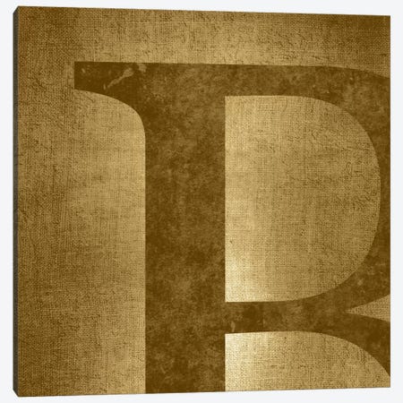 B-Gold Shimmer Canvas Print #TOA219} by 5by5collective Canvas Art Print