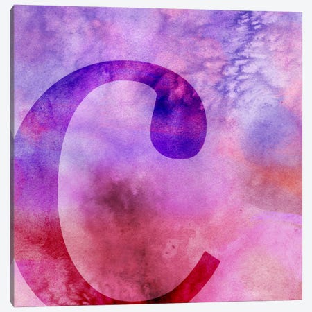 C-Purple Canvas Print #TOA235} by 5by5collective Canvas Artwork