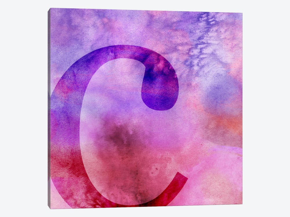 C-Purple by 5by5collective 1-piece Canvas Artwork