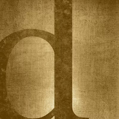 D-Gold Shimmer by 5by5collective canvas print