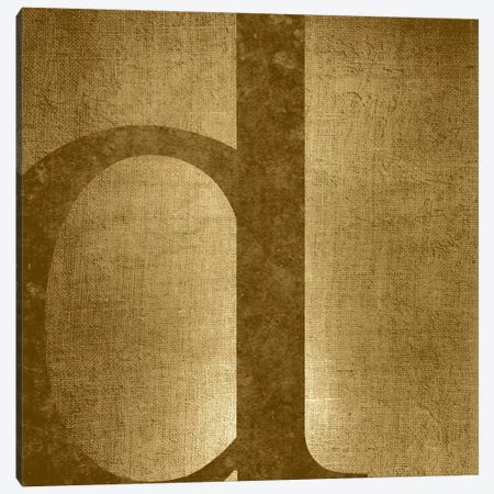 D-Gold Shimmer Canvas Print #TOA243} by 5by5collective Canvas Art