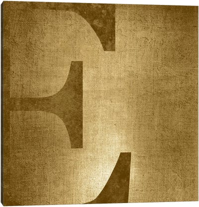 E-Gold Shimmer Canvas Art Print - Letter E