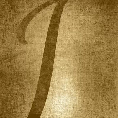 I-Gold Shimmer by 5by5collective canvas print