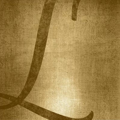 L-Gold Shimmer by 5by5collective canvas print