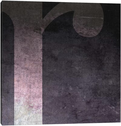 R-B&W Neg Canvas Art Print - Black & Pink