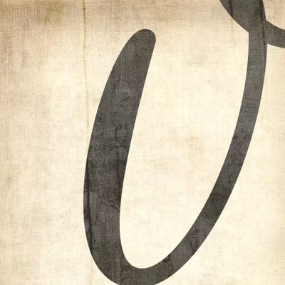 V-Bleached Linen by 5by5collective art print