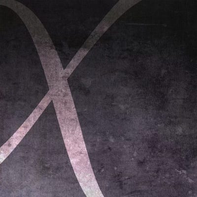 X-B&W Neg by 5by5collective canvas print