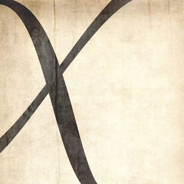 The Letter X: X-Bleached Linen by 5by5collective