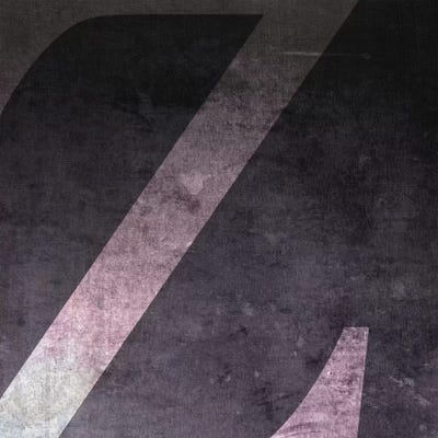 Z-B&W Neg by 5by5collective framed canvas print