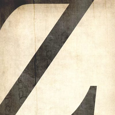 Z-Bleached Linen by 5by5collective framed canvas print