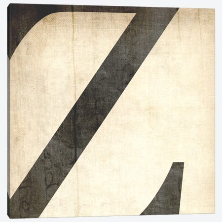 Z-Bleached Linen Canvas Print #TOA432} by 5by5collective Art Print
