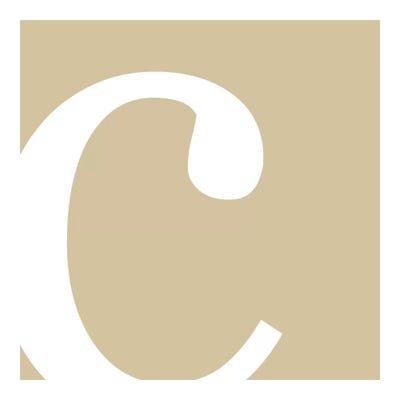 C3 by 5by5collective canvas print