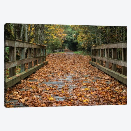 Fall On The Goose (Victoria) Canvas Print #TOL5} by Tim Oldford Art Print