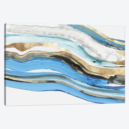 Gravitating  Canvas Print #TOR315} by Tom Reeves Canvas Wall Art