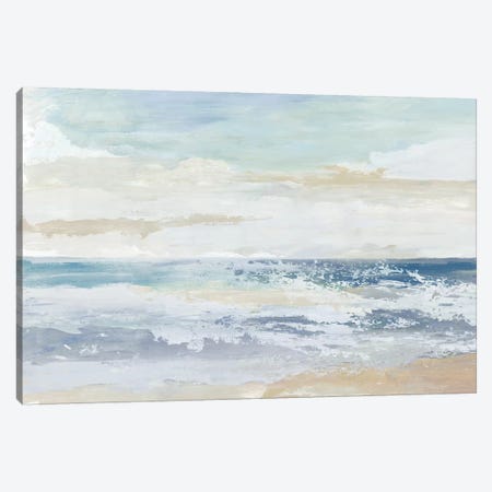 Ocean Salt Canvas Print #TOR330} by Tom Reeves Canvas Art Print