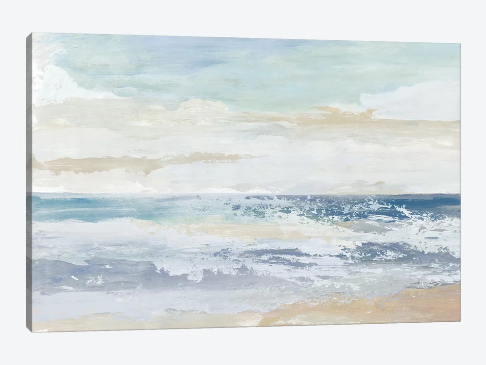Ocean Salt by Tom Reeves 1-piece Canvas Art