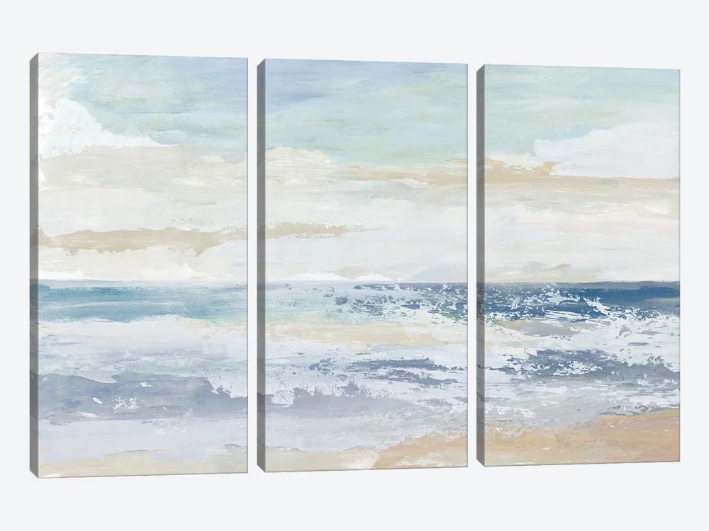 Ocean Salt by Tom Reeves 3-piece Canvas Artwork