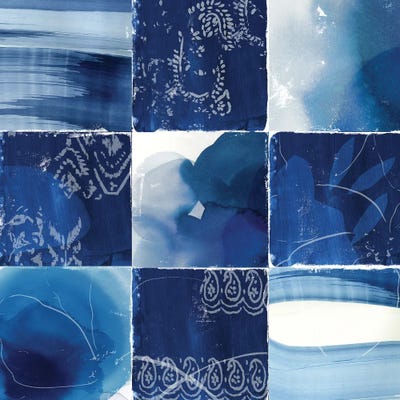 Striking Indigo by Tom Reeves art print